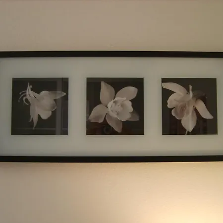 Vakantiehuis Il Teatro *