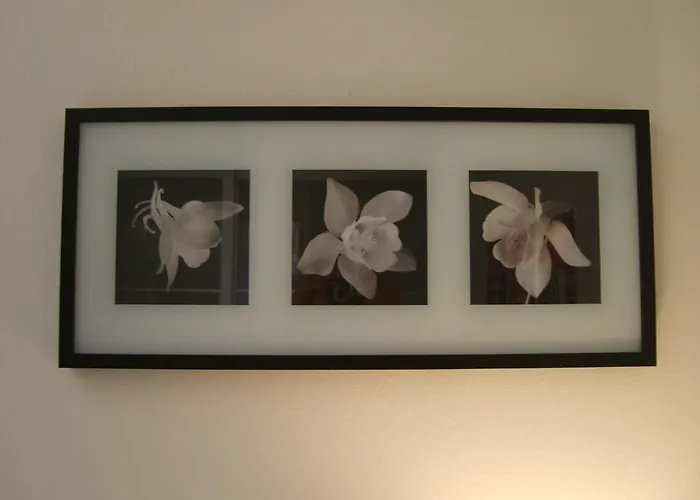 بيت للعطل Il Teatro *