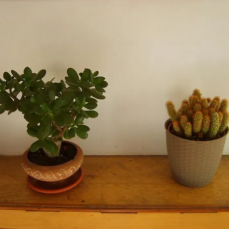 Il Teatro Μπέργκαμο